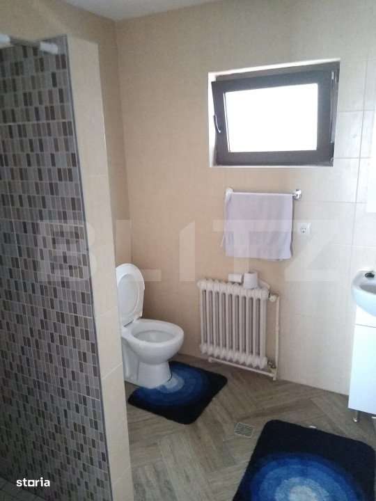 Cabana rustica Baile Figa,85mp,3 dormitoare,182 mp teren - Imagine principală: 3/8