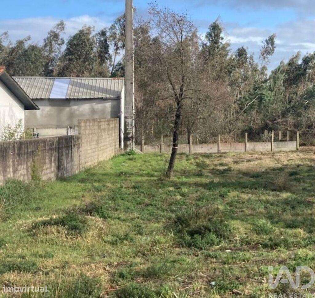 Terreno em Marinha Grande - Grande imagem: 4/5