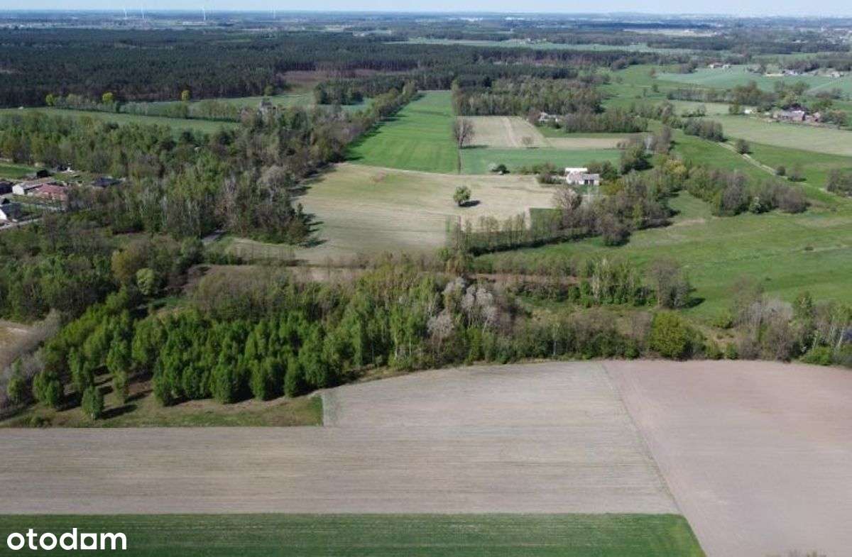 Na sprzedaż grunt rolno-leśny gm. Rychwał - Pełny obrazek: 5/6