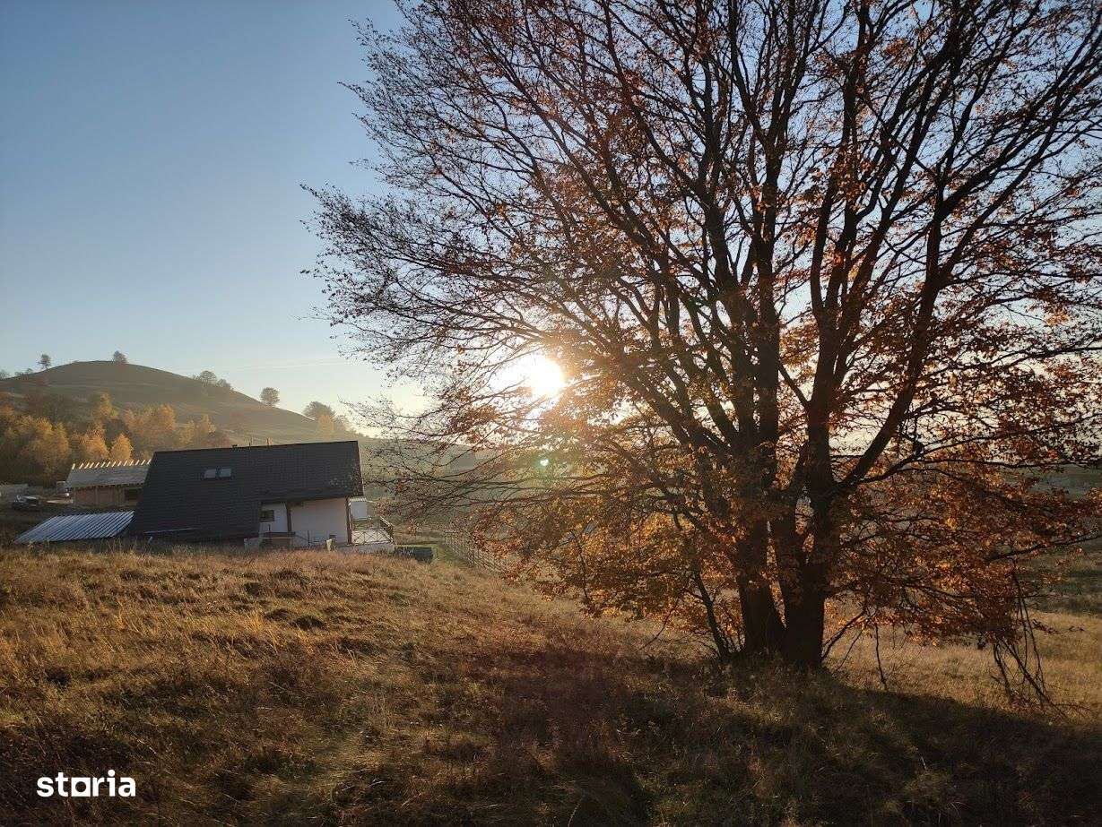 PF Vand Teren Intravilan Salicea - 118Euro/mp - Imagine principală: 4/5