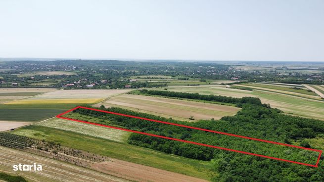 Teren de vanzare - 15.740 mp | Priveliste superba-3