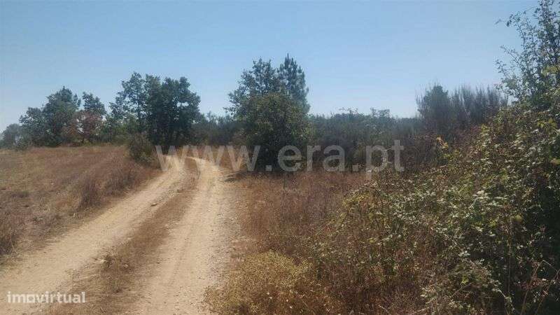 Terreno Rústico / Fundão, Capinha - Grande imagem: 3/5