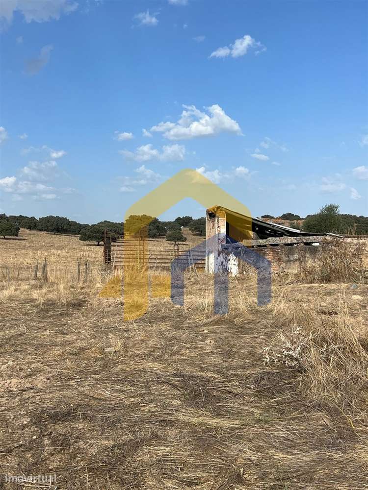 🏡 Quintinha em Monforte-18