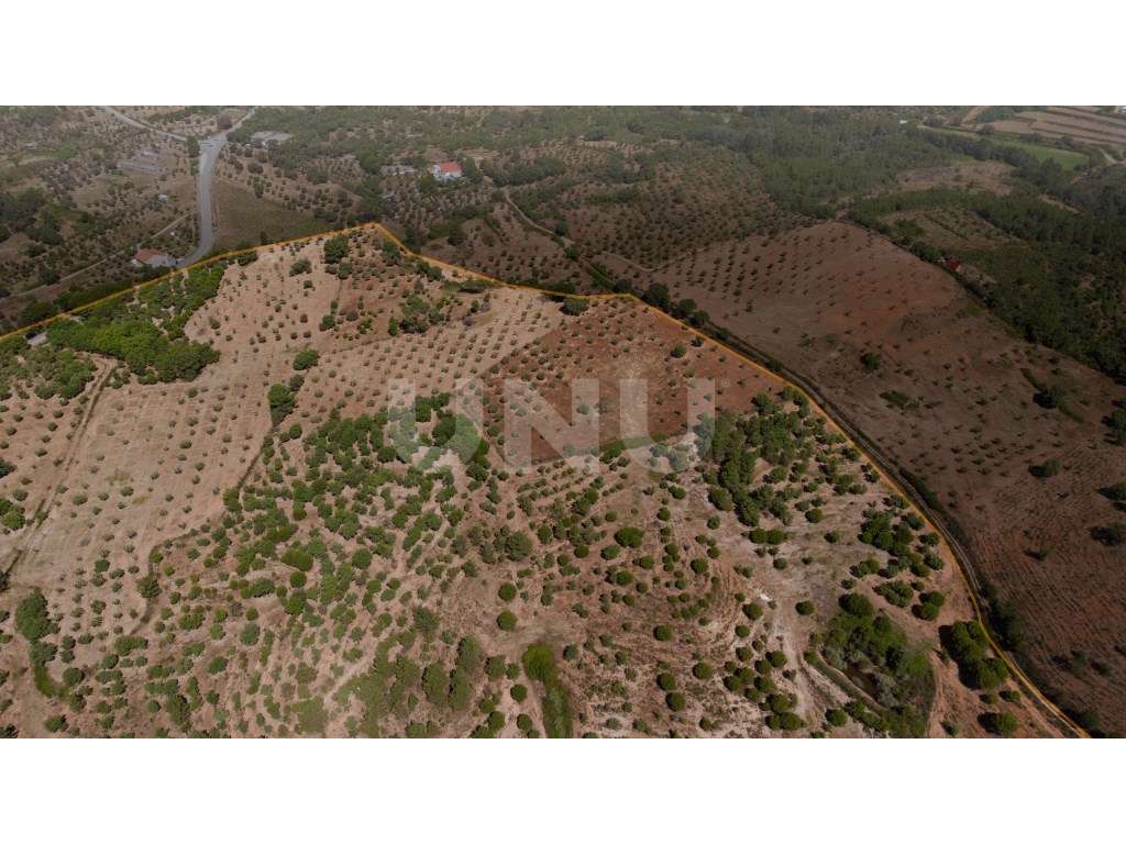 Herdade com 34 Hectares-36