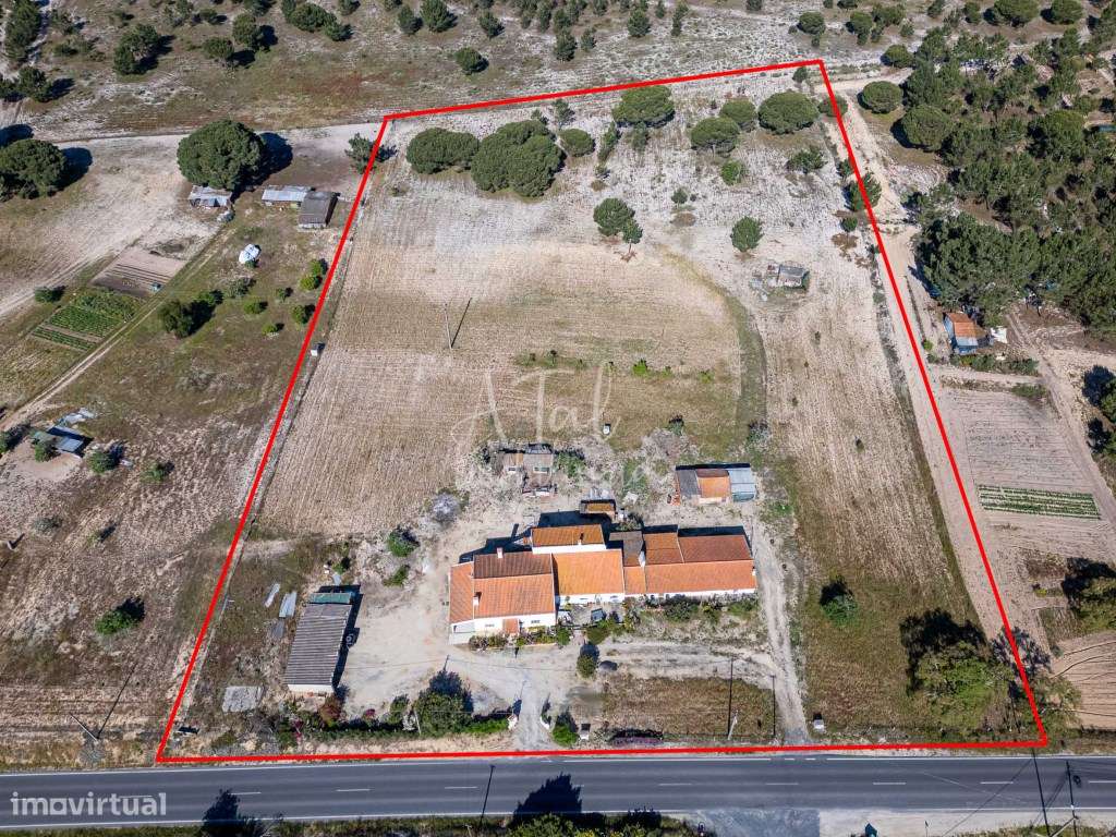 Herdade Única com Duas Casas e Anexos - Próximo da Lagoa de Melides... - Grande imagem: 3/23