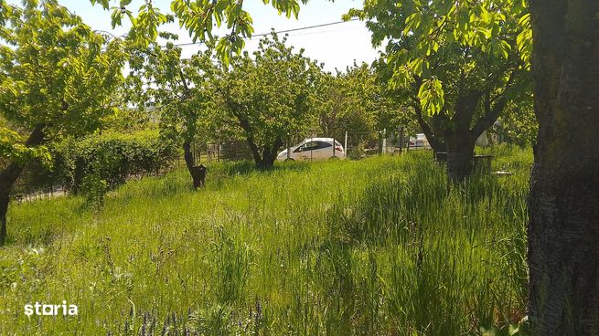 Teren de Vânzare – Chicerea, Tomești – 1.188 mp  Zonă de Case Noi-5