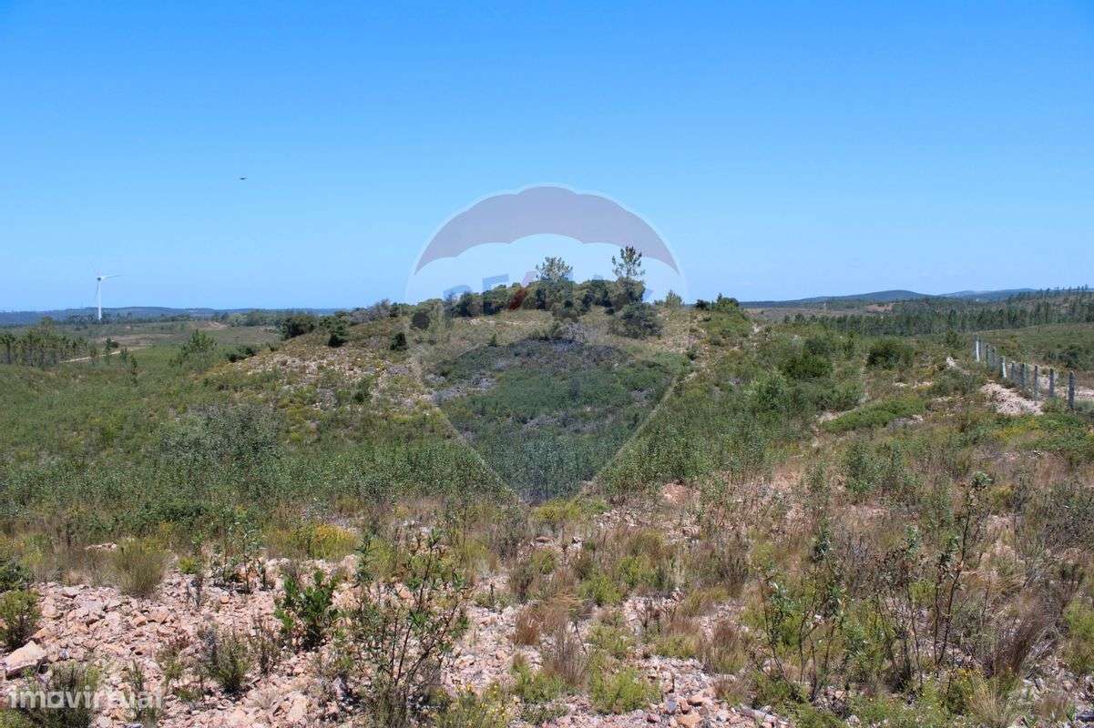 Quinta T5 para venda - Grande imagem: 3/18