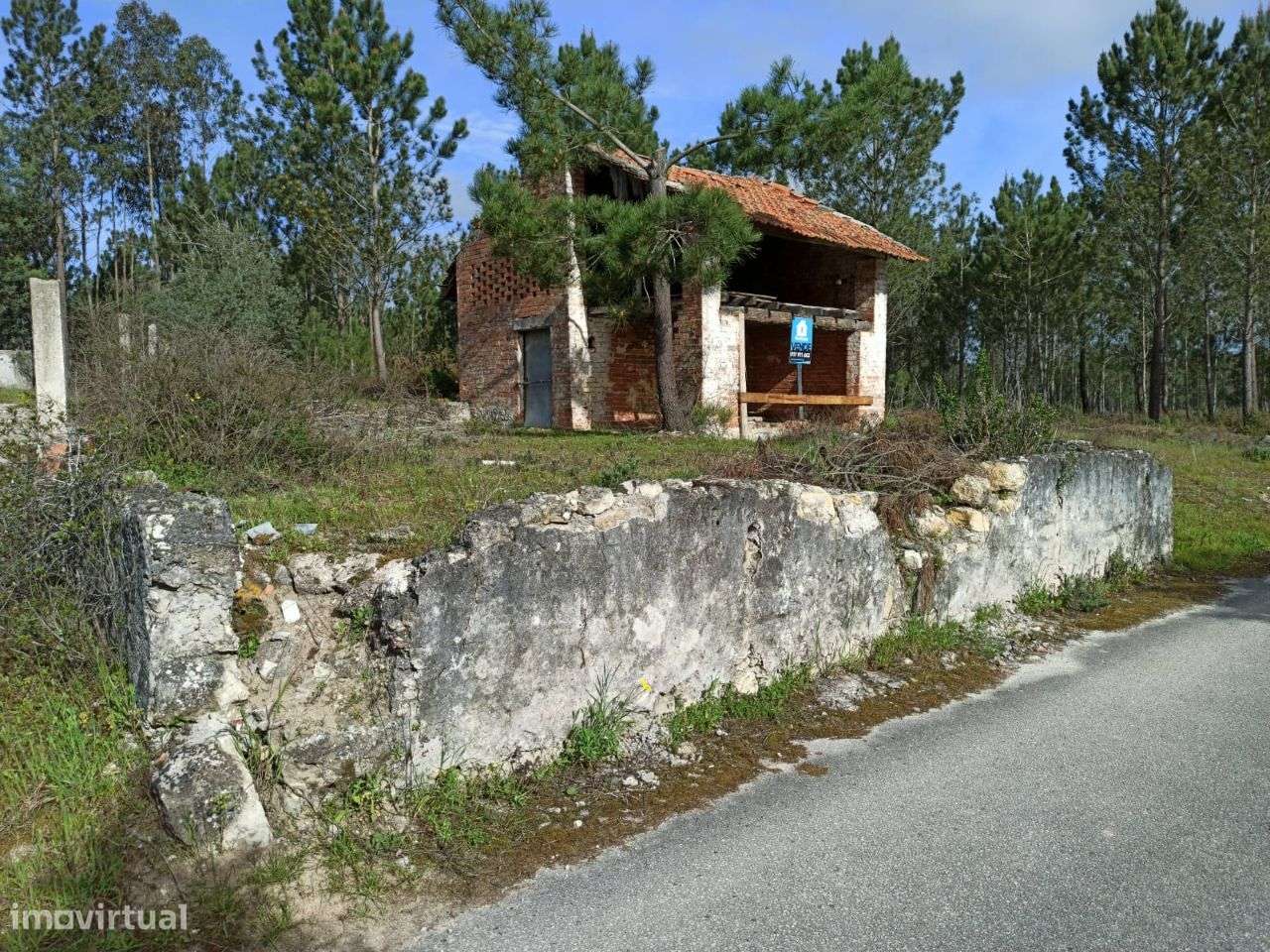 Casa e eira para reconstrução com terreno florestal de 6000m² - Grande imagem: 2/8