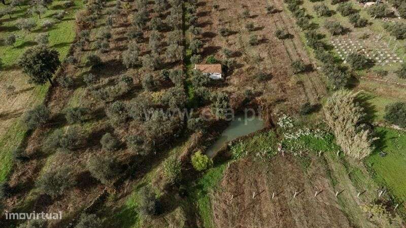 Terreno Rústico / Fundão, Telhado - Grande imagem: 2/10