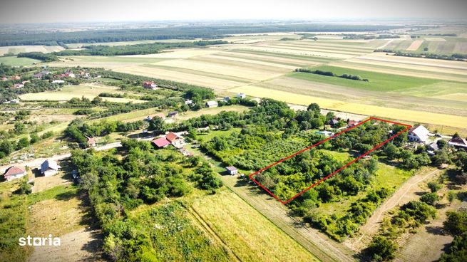 Teren generos cu potențial-Viile Satu Mare-Strada Iepurilor-3