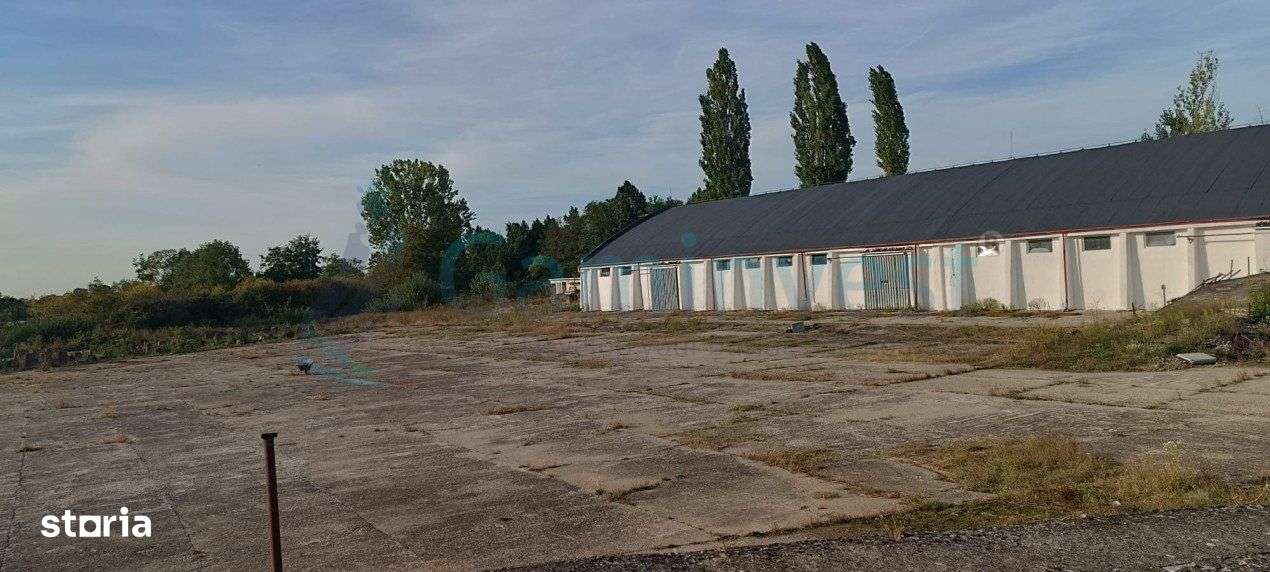 Gaminvest Hala de inchiriat aflata in zona Vadu Crisului, A1947 - Imagine principală: 1/6