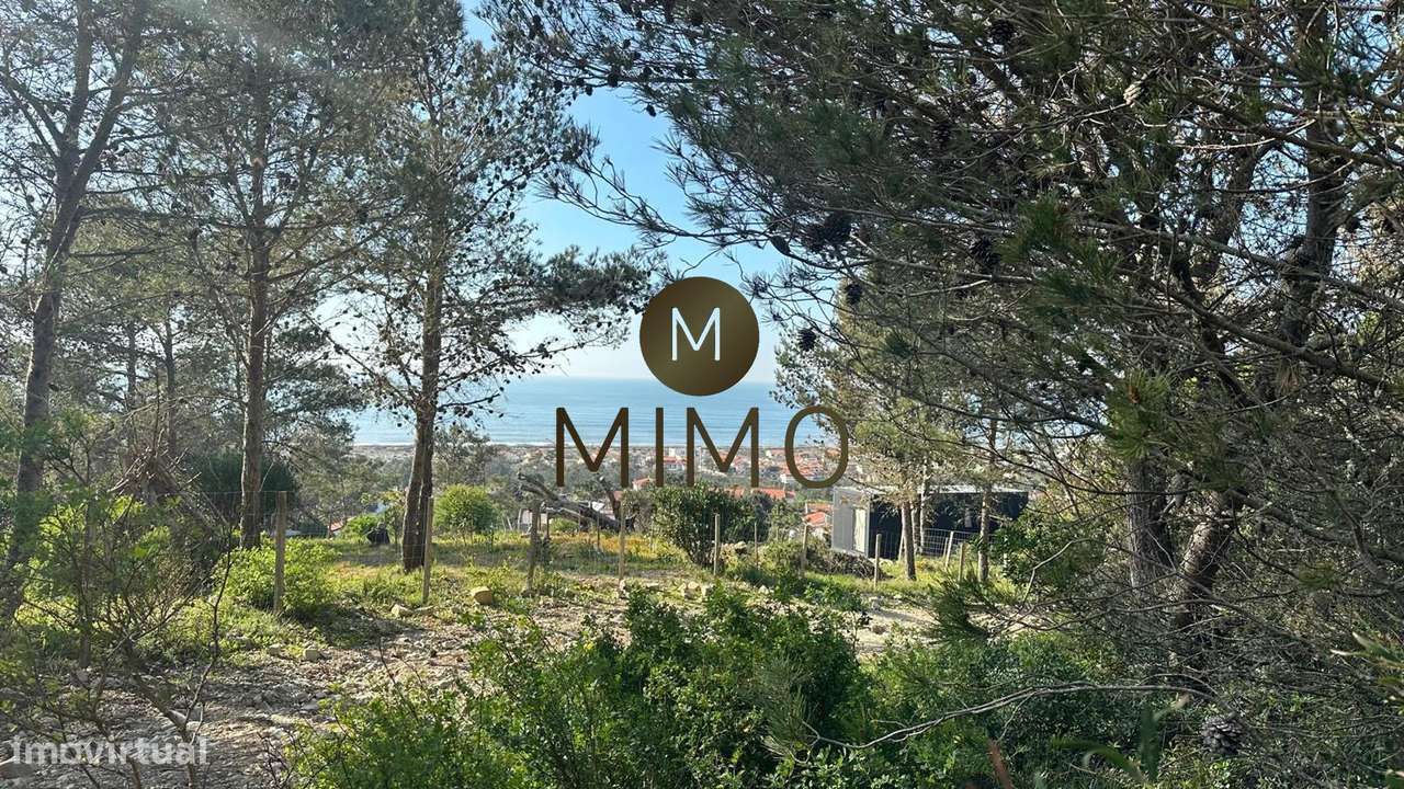 Terreno Para Venda na Murtinheira-24