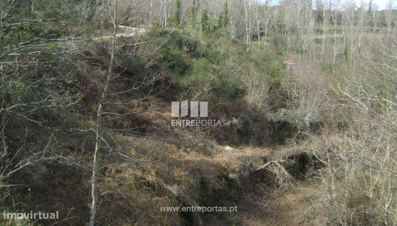 Venda Terreno, Campelo, Baião - Grande imagem: 4/5
