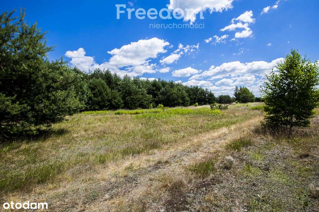 Działka 10 arowa pod budowę domu, Głogów Młp. - Pełny obrazek: 4/7