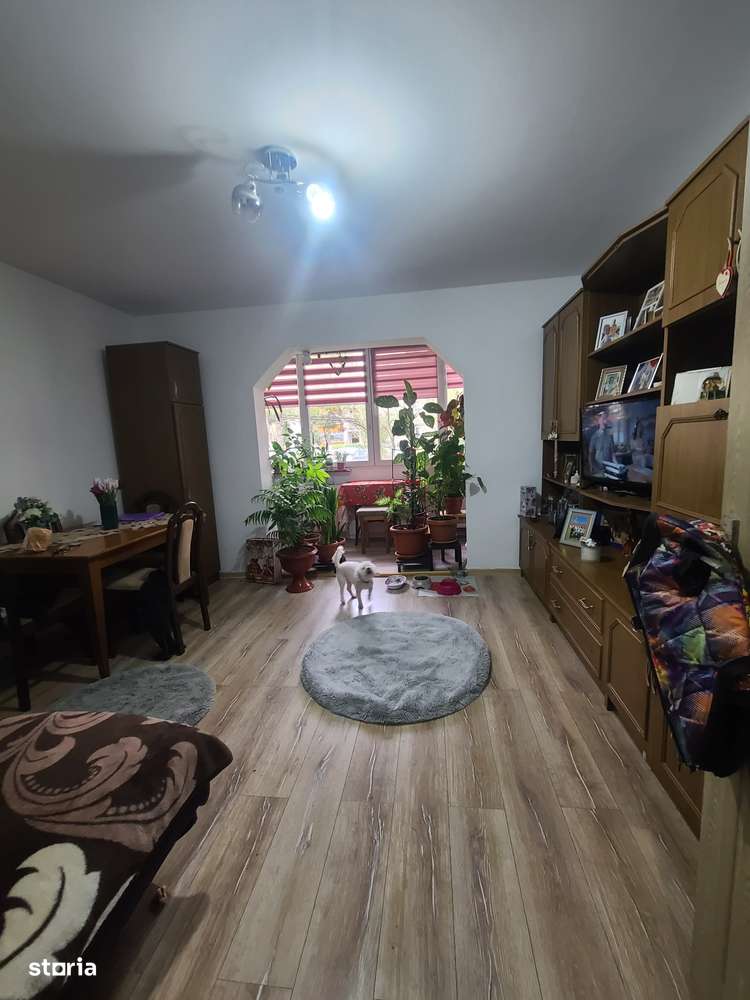 Vand 2 cam Dambu - Imagine principală: 1/6