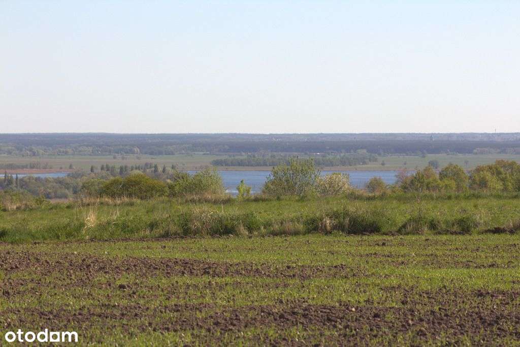 Działki W Skolwinie – Zieleń, Cisza, Potencjał !!!-3