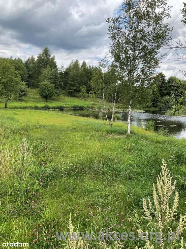 Działka 37700 m2 z jeziorkiem w okolicach Pasymia-2