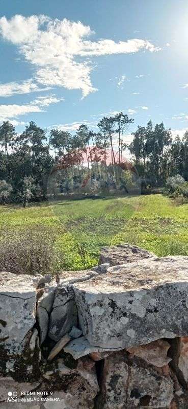 Terreno  para venda - Grande imagem: 3/4