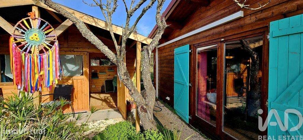 Terreno Agrícola em Barão de São Miguel - Grande imagem: 3/29