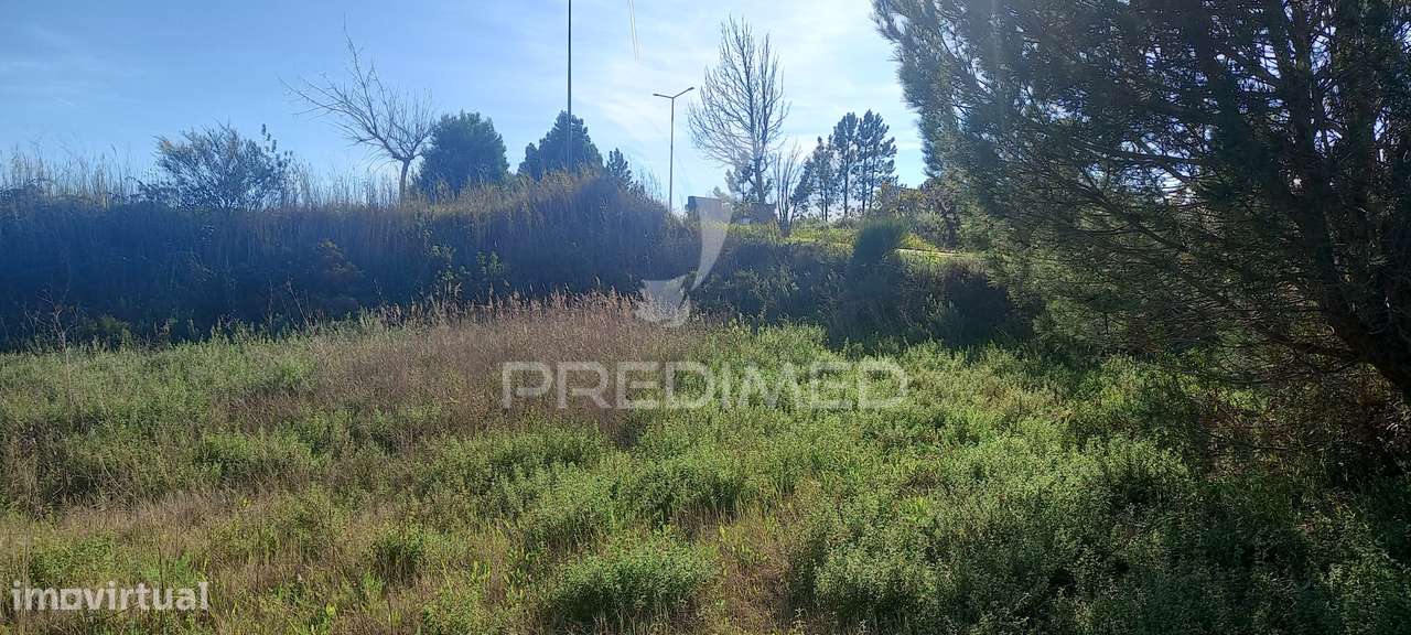 Lote de Moradia - Grande imagem: 3/6