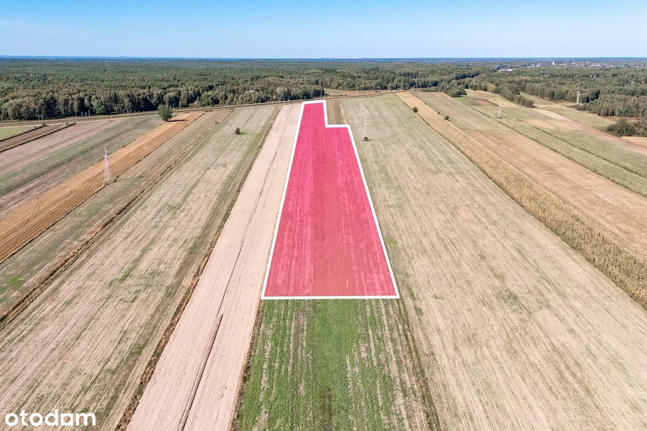 Ziemia dla rolnika | Działka rolna | 3,29 ha w tym 79% klasa III - Pełny obrazek: 5/9