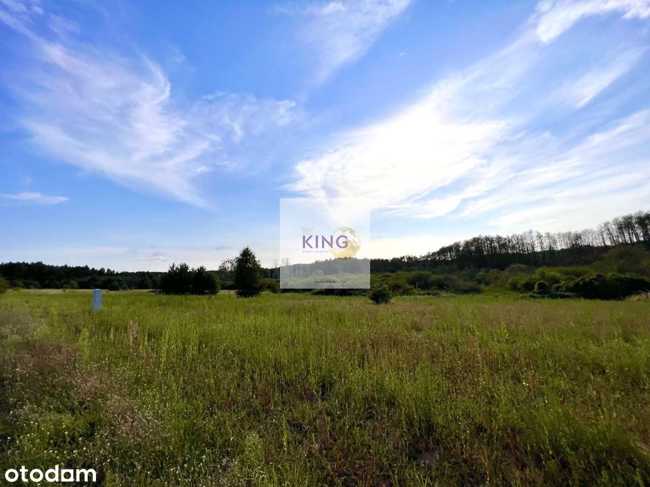 Działka rekreacyjna nad jeziorem w Baniach - Pełny obrazek: 5/5