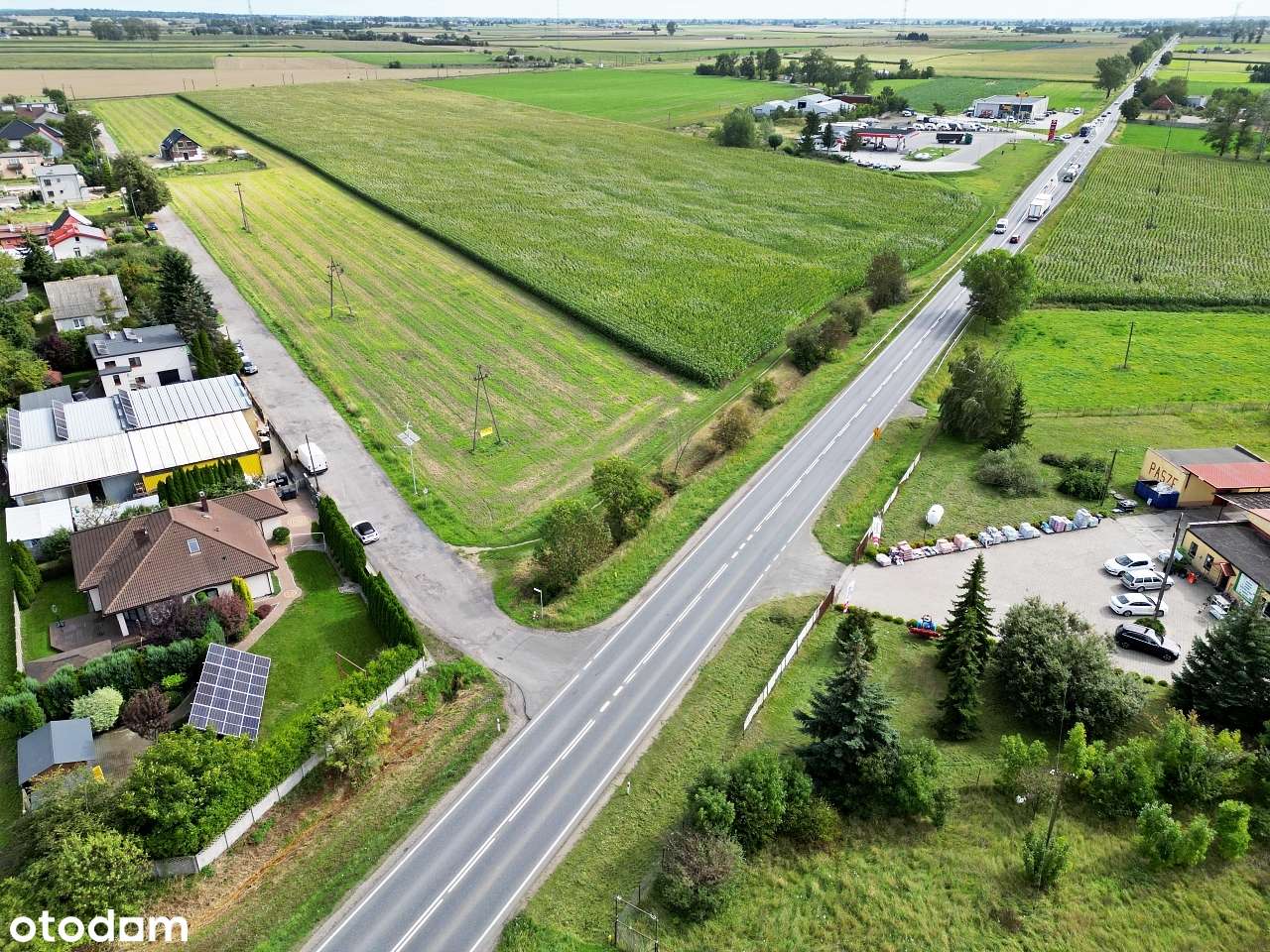 Działki z potencjałem budowlanym Złotniki Kuj. - Pełny obrazek: 2/13