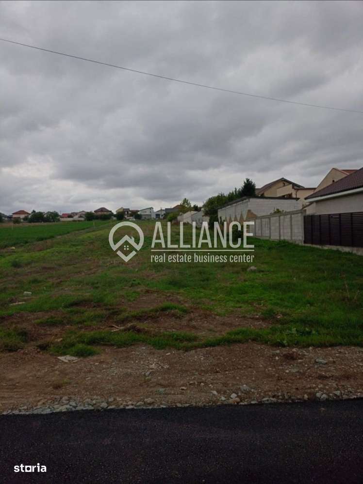 VALU LUI TRAIAN  ( COD02)  - Str. Islazului ,Valu Lui Traian - Imagine principală: 4/5