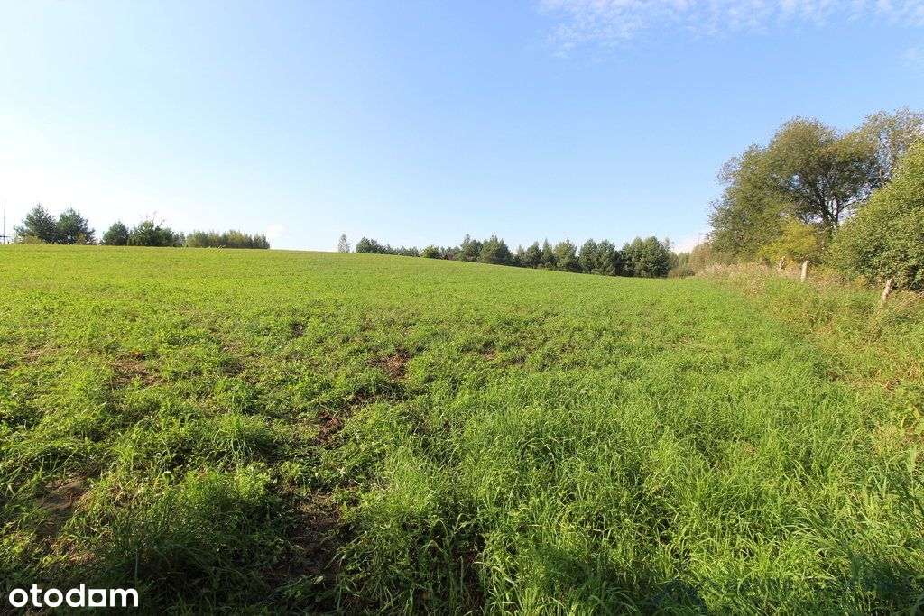 Działa przy jeziorze Łąkorz-10