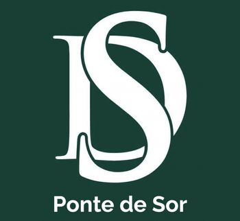 Decisões e Soluções Ponte de Sor Logotipo