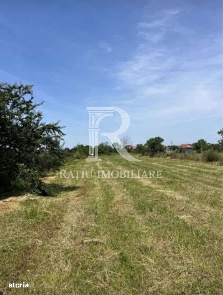 Teren cu proiect de casa | Sititelec | Bihor - Imagine principală: 2/6