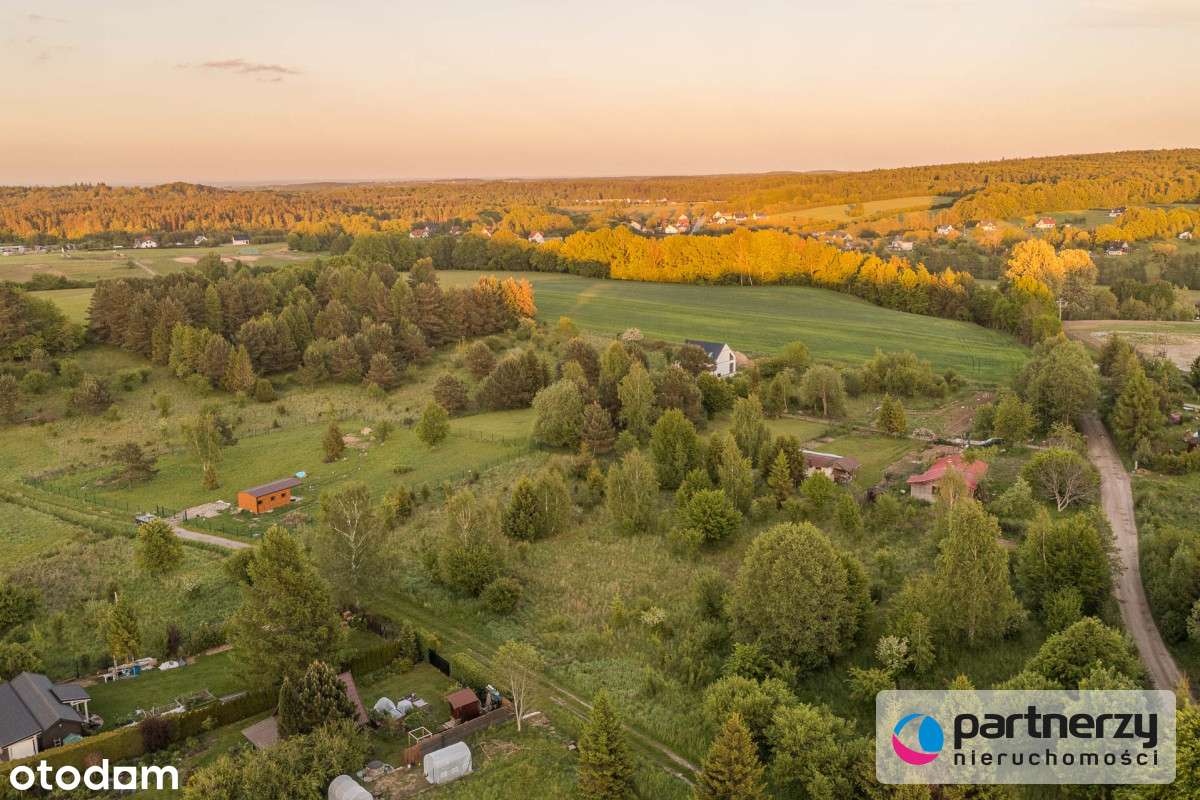 Duża działka w cichej i spokojnej okolicy - Pełny obrazek: 5/15