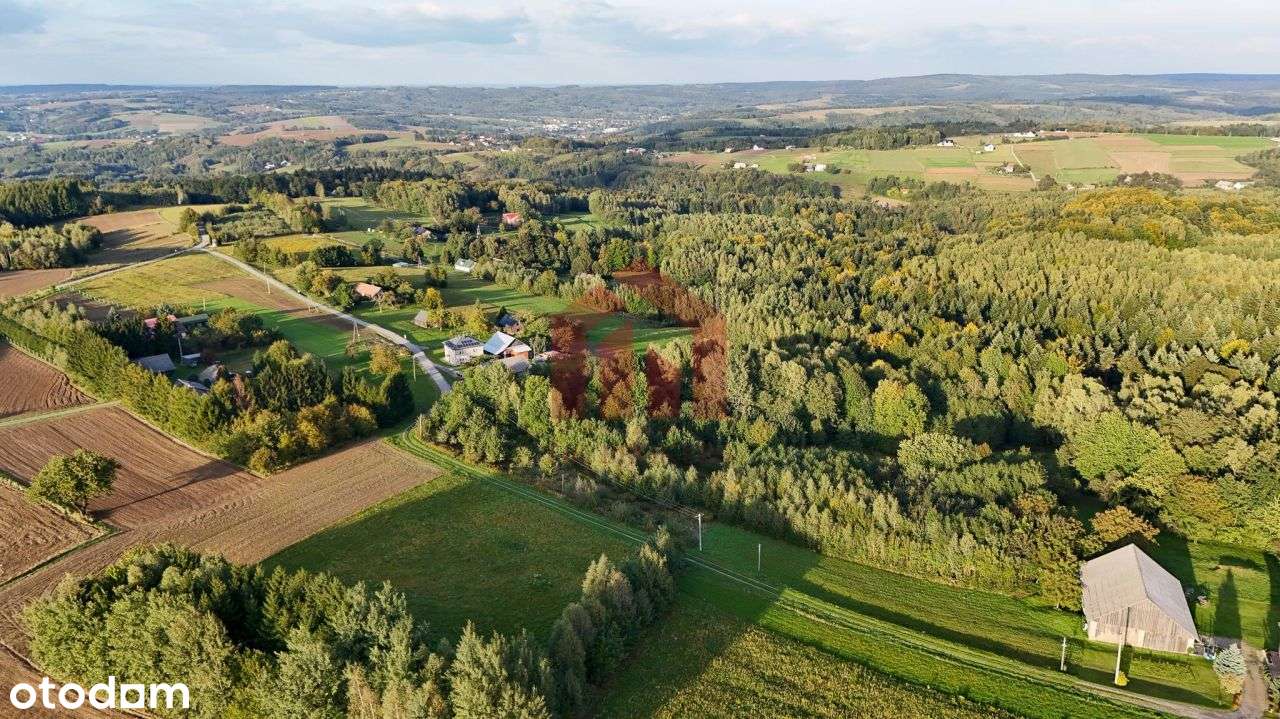 1,47 ha, Wz! dom w lesie? biznes? Jedyna taka!-5