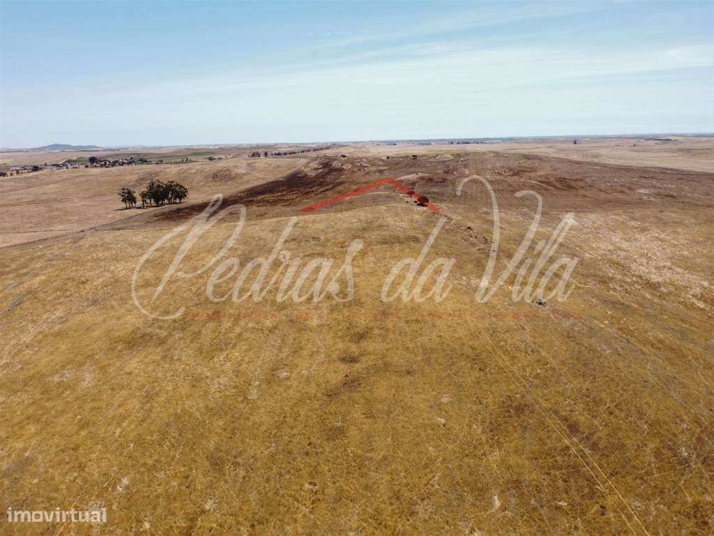Propriedade de 119ha em Castro Verde - Grande imagem: 5/48