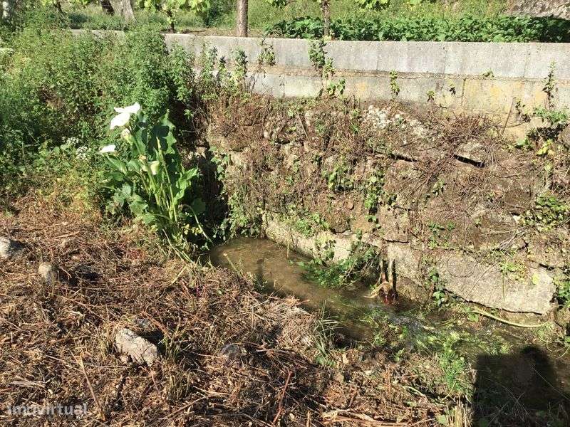 Terreno rústico com dois riachos - Grande imagem: 4/6