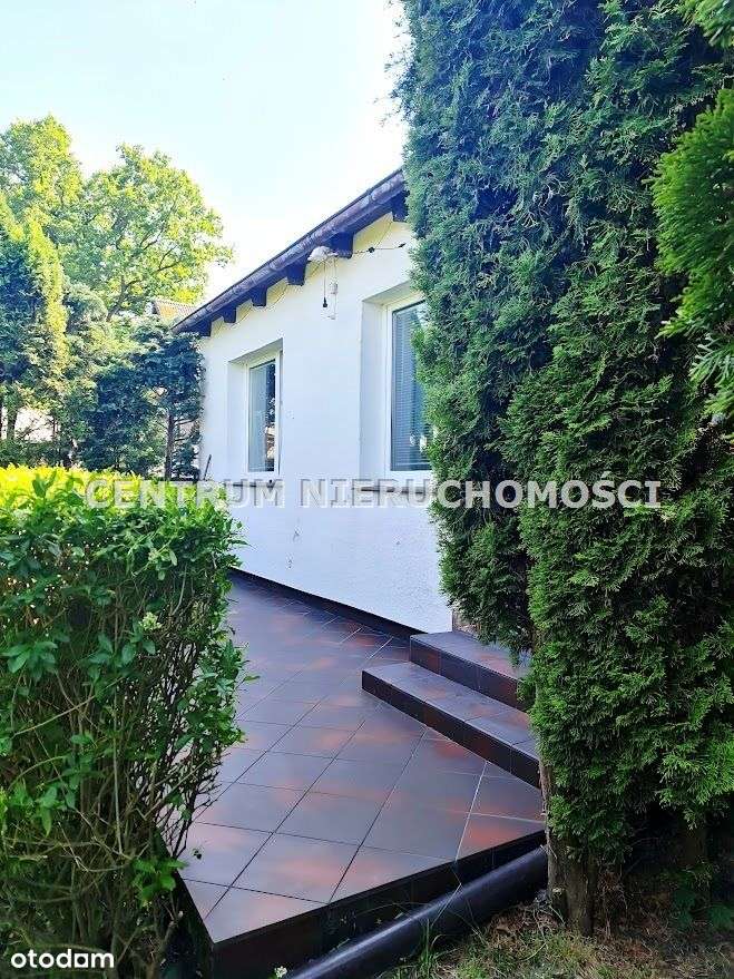 KLIMATYCZNE,PONADCZASOWE Z DUŻYM TARASEM WŚRÓD ZIELENI!!!-9