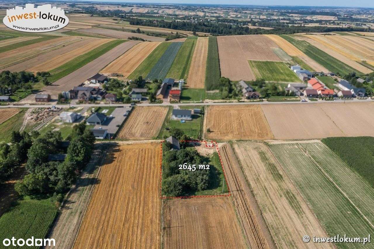 Działka, 2 645 m², Buk-4