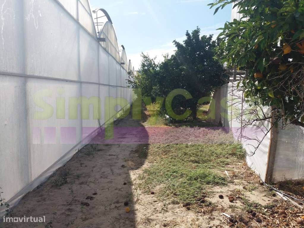 Moradia Ruina junto BA6 Montijo inserida em terreno c/ 3 ha-13