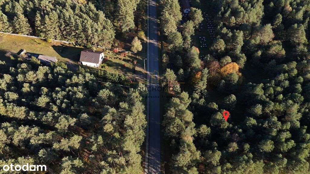 Działki w spokojnej okolicy–Dyle - 1,88 ha-10