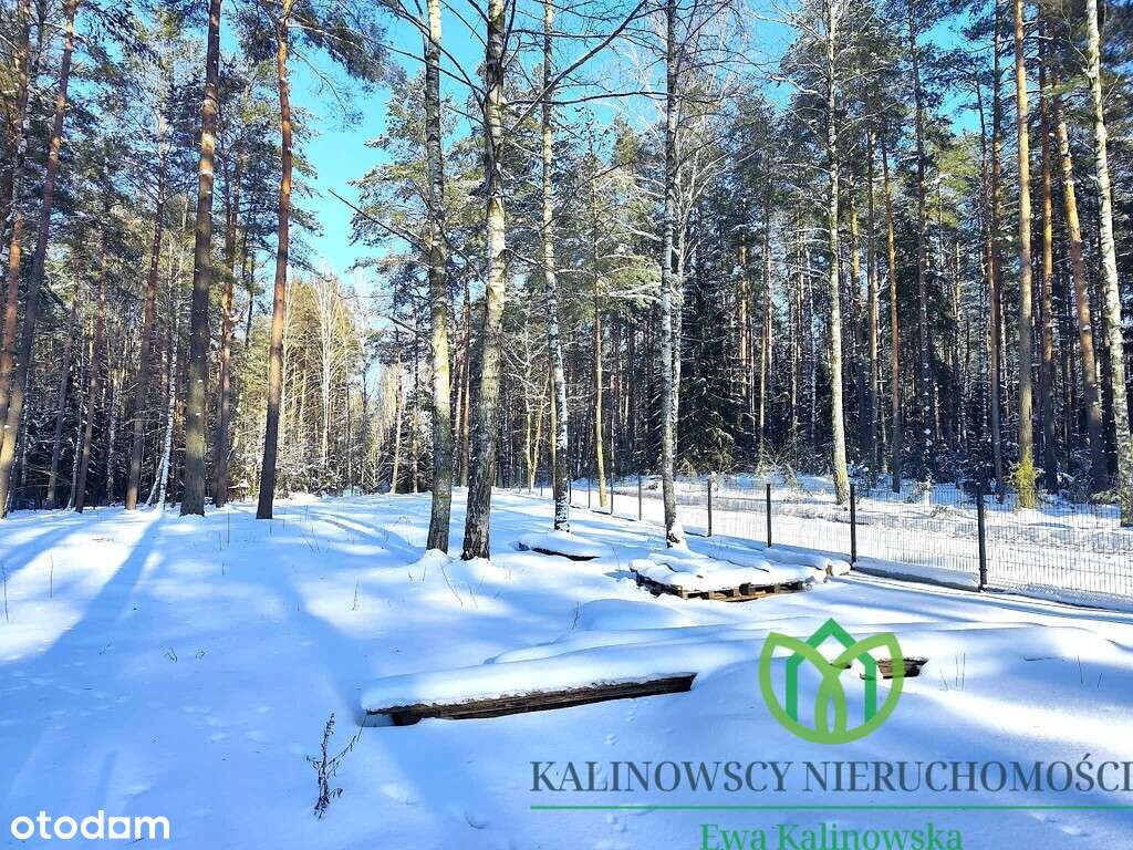 Wyjątkowa działka w Sajenku-3