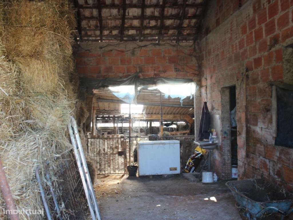 Casa de Campo, terreno, vista panorâmica concelho Rio Maior-22