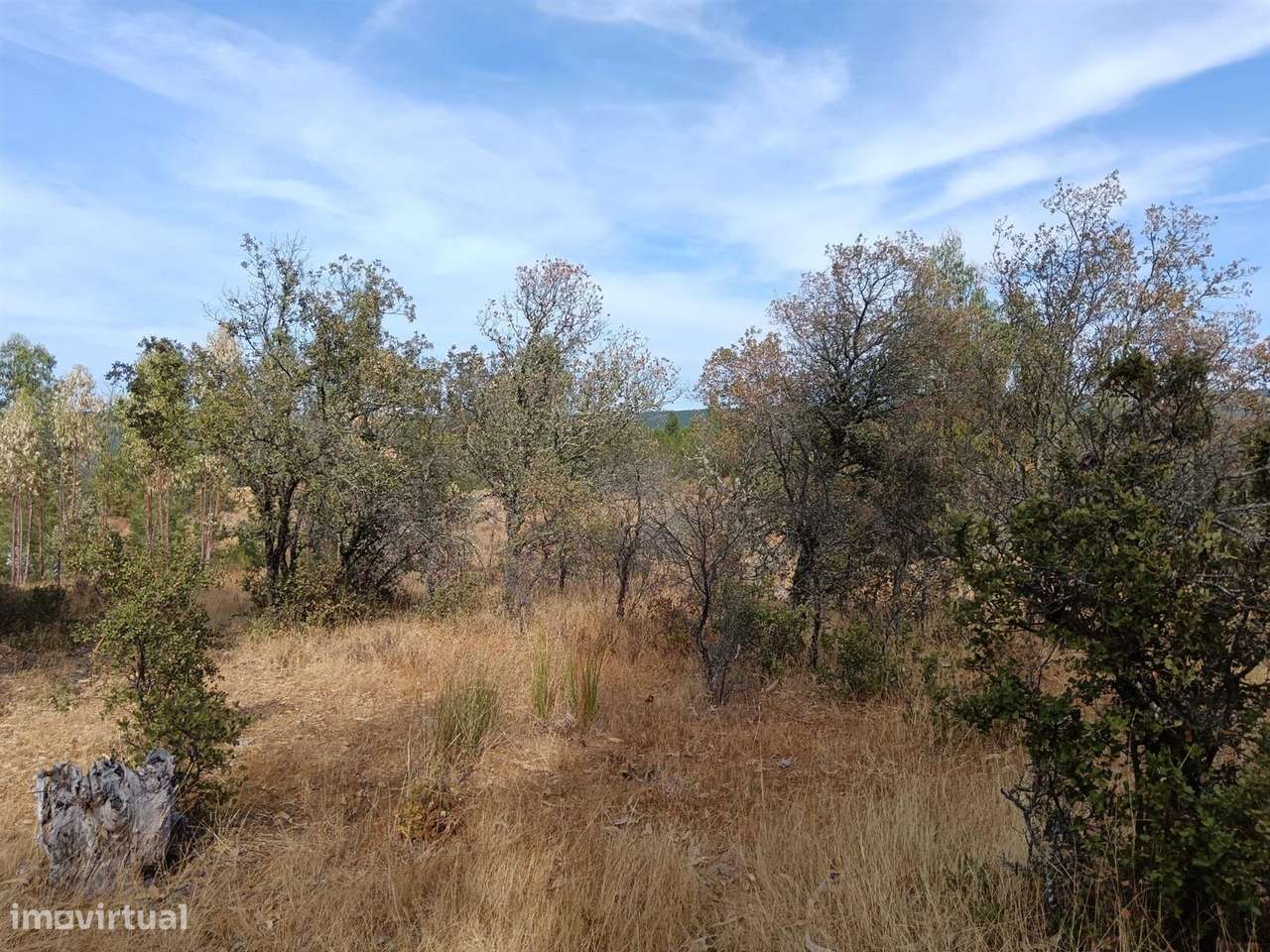 Terreno - Grande imagem: 5/8