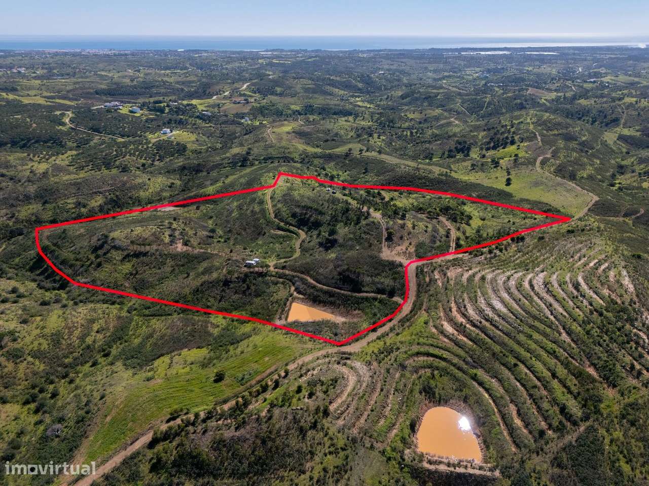 terreno com ruína e viabilidade de Construção - Grande imagem: 5/16