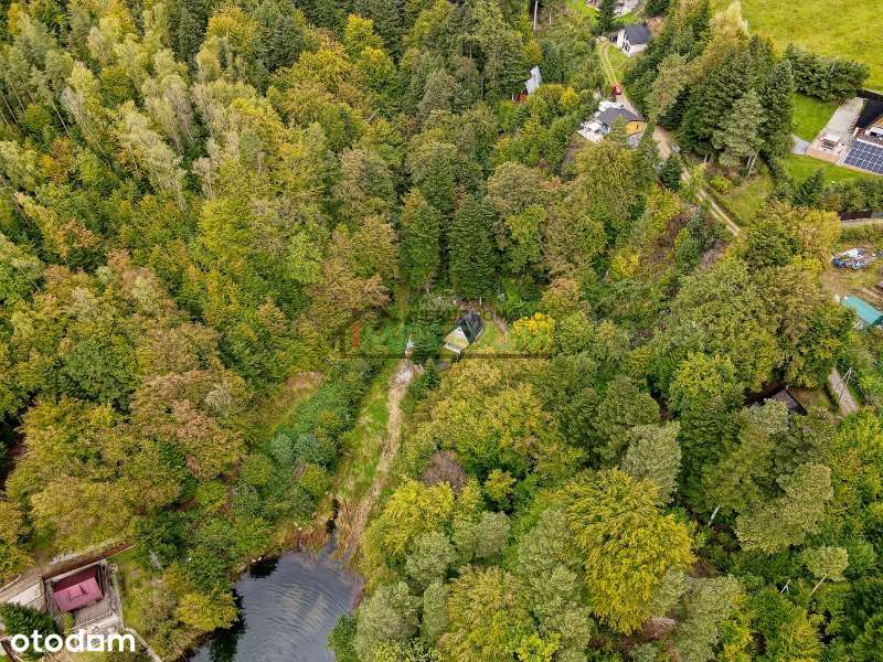 Domki w pierwszej linii brzegowej Rożnów - Pełny obrazek: 5/16