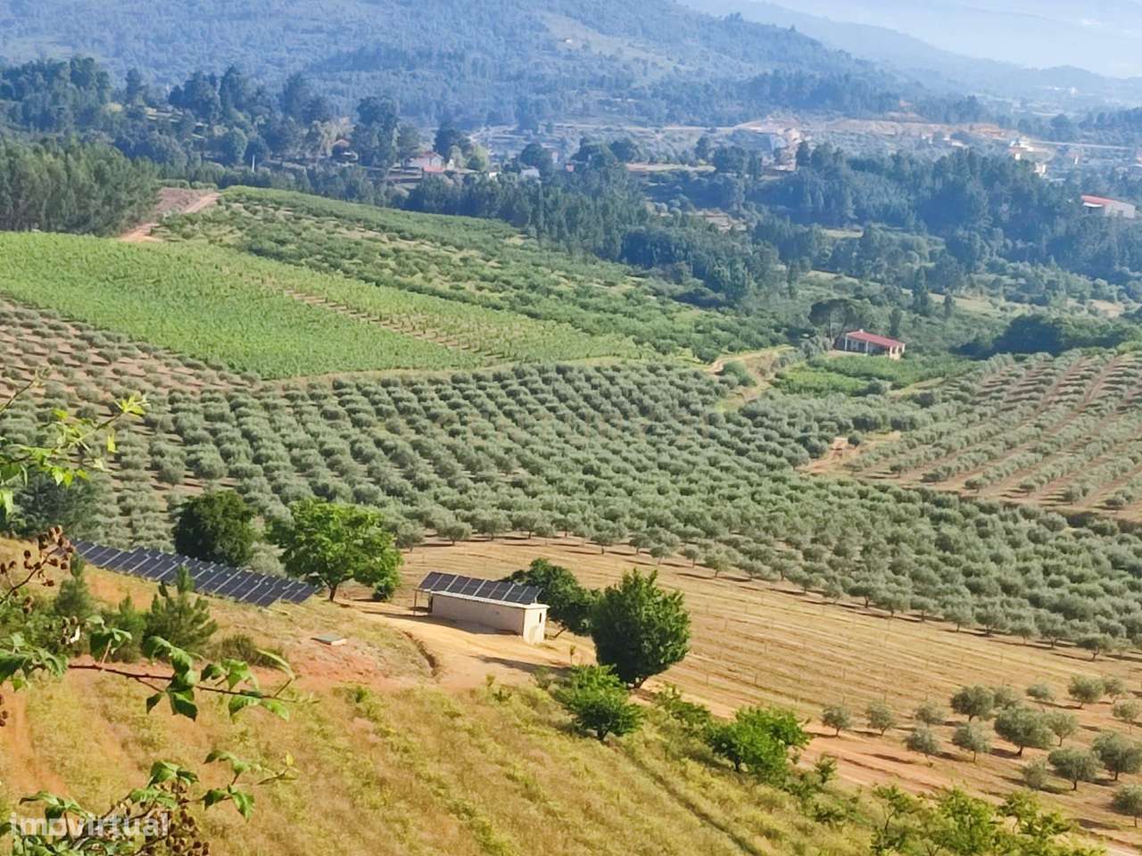 Fantástica Quinta, 32 ha, Castelejo, Fundão, Castelo Branco - Grande imagem: 5/23