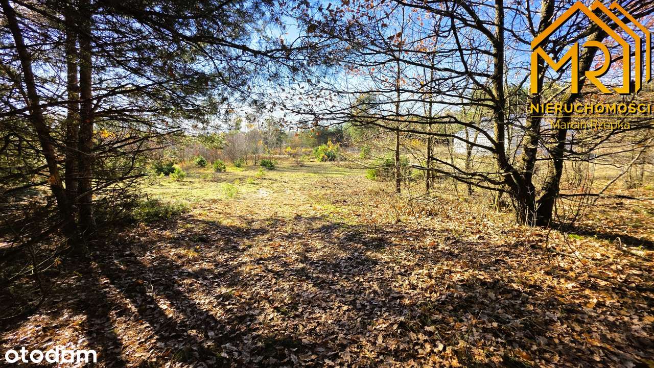 Działka z pełną dokumentacją budowlaną w gminie Czarna-15