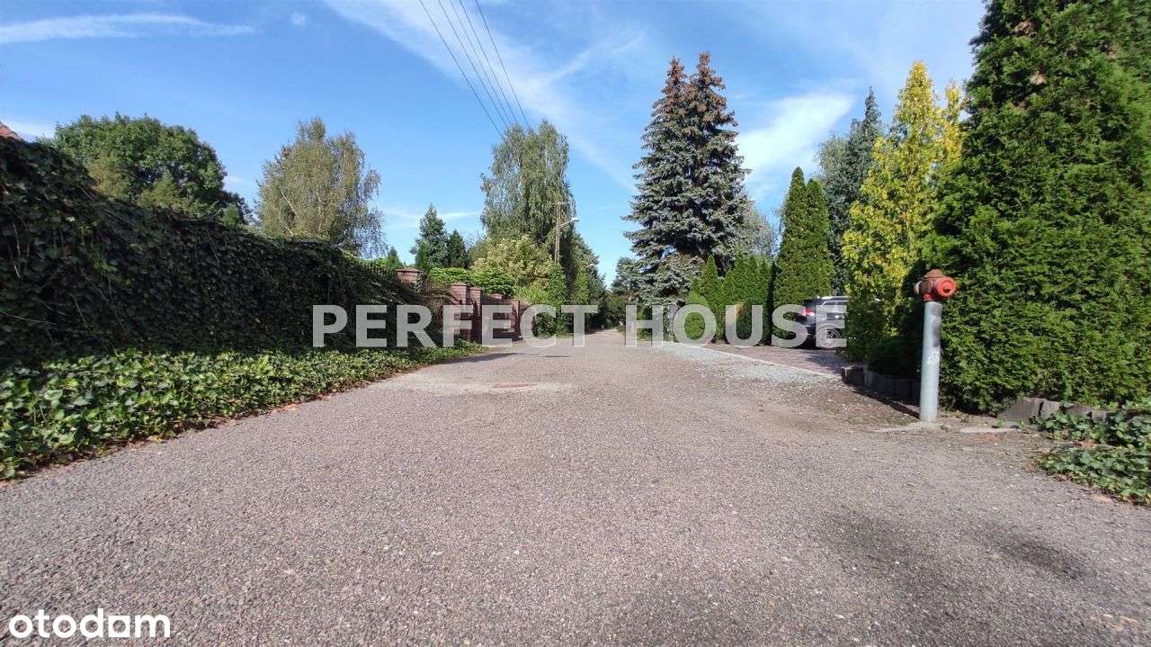 Puszczykowo intymna działka przy lesie - Pełny obrazek: 2/9