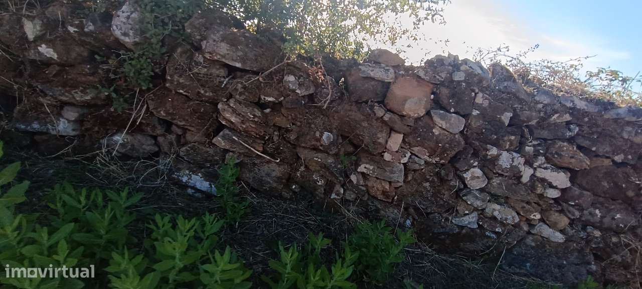 Terreno rústico com 3.700 m² – A 7 km de Tomar-8
