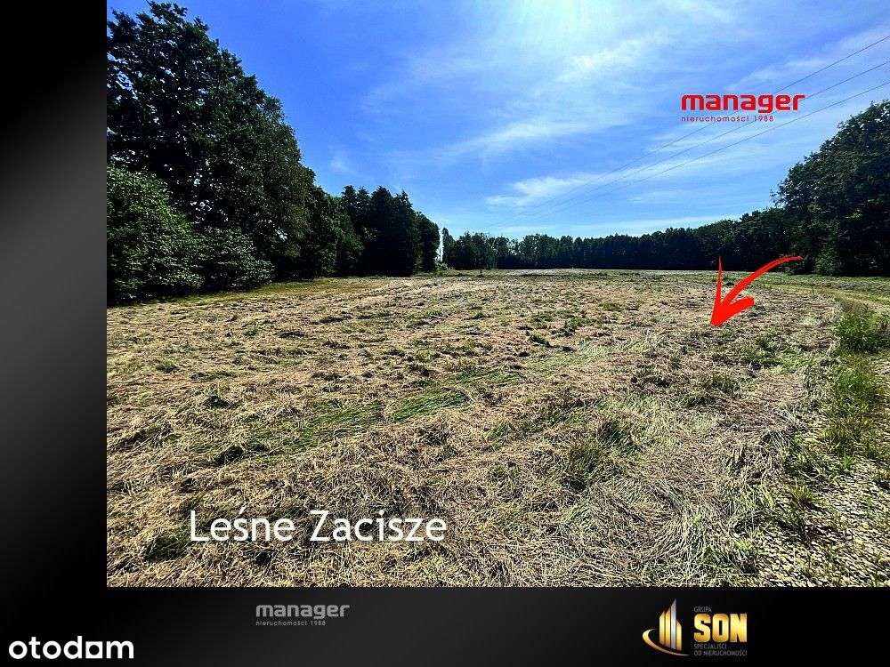 Działka, 2 112 m², Rudy-7