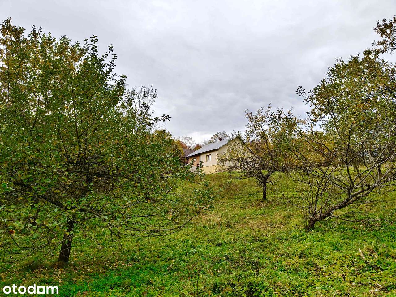 Enklawa spokoju | powiat Rzeszowski-1